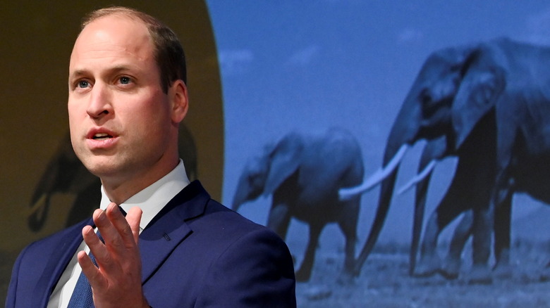 Le prince William aux Tusk Conservation Awards.