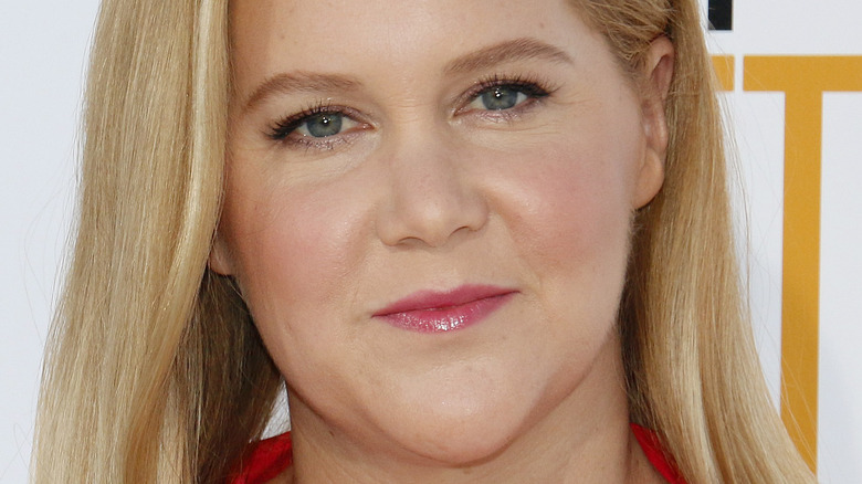 Amy Schumer pose dans une robe rouge