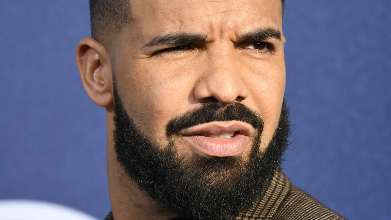 Drake assiste à la première de LA de HBO 