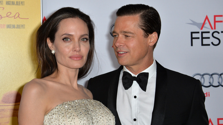 Brad Pitt et Angelina Jolie posent 