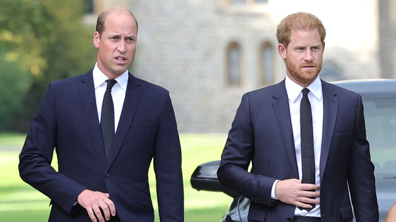 Le prince William et le prince Harry aux hommages de la reine Elizabeth